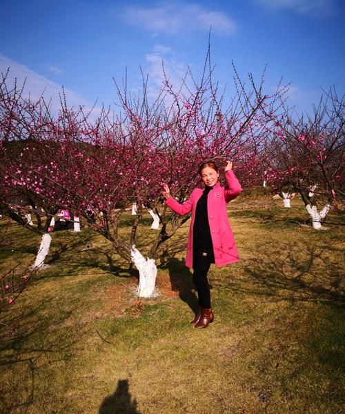 待到山花烂漫时她在丛中笑的意思:“待到山花烂漫时她在丛中笑”这句词是什么意思