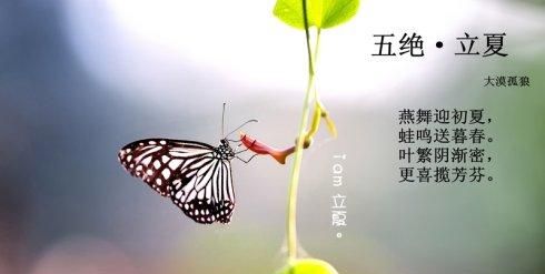 关于立夏的美好诗句:关于描写夏天的美好诗句有那些