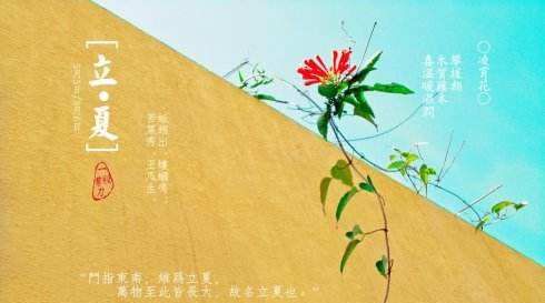 关于立夏的美好诗句,描写立夏的古诗图1