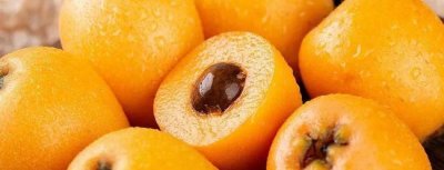 晒干的枇杷果怎么煮水,干枇杷泡水喝的功效是什么