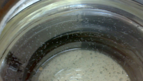 污水处理中ss是什么意思,cod和ss是什么污染物图1