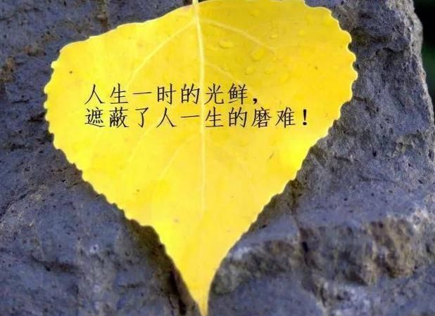 100句精辟的人生哲理的句子