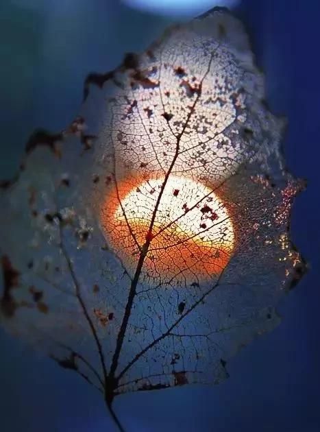 繁华落尽与君老,时光静好,与君语;细水流年,与君同;繁华落尽,与君老。出处是哪?图3