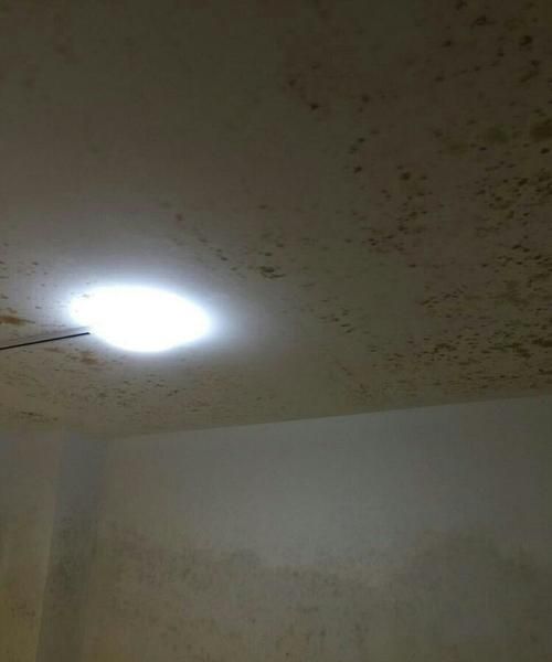 墙体潮湿发霉怎么处理方法