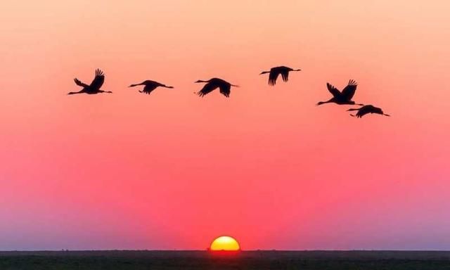 波光明灭:最喜欢的一个唐宋八大家是谁为什么图9