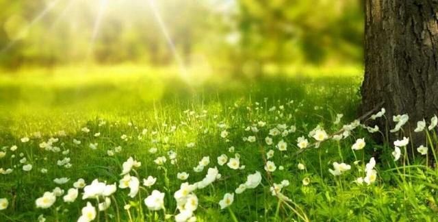 波光明灭:最喜欢的一个唐宋八大家是谁为什么图10