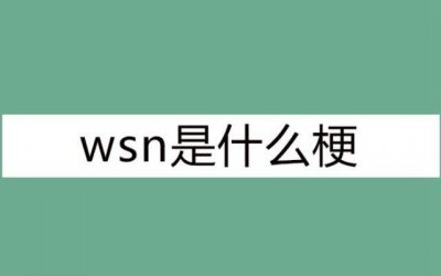 ​wsn是什么道理搜集用语，委琐男的拼音首字母缩写
