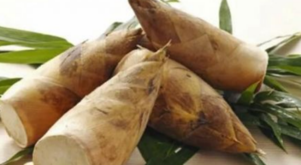 春笋怎么保存时间长而新鲜,春笋的保存方法图1