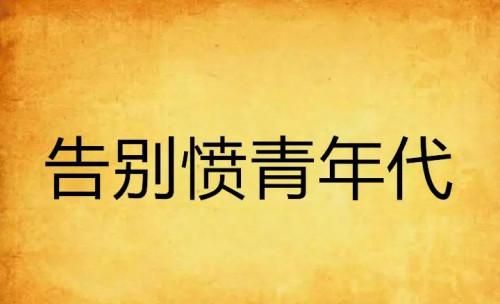 网络愤青是什么意思