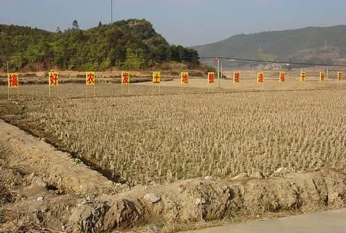 一亩到底有多少平方为什么有些地方是667,有些地方是1000呢