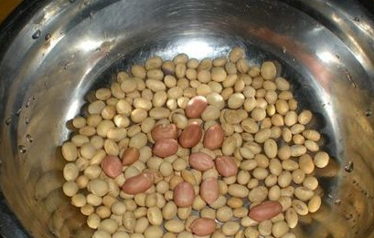 黄豆要泡多久才能做豆浆,磨豆浆黄豆需要浸泡吗图4