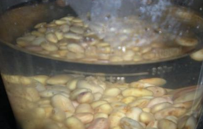 黄豆要泡多久才能做豆浆,磨豆浆黄豆需要浸泡吗图7