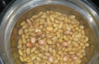 黄豆要泡多久才能做豆浆,磨豆浆黄豆需要浸泡吗图6