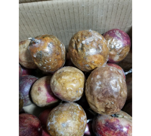 百香果外面黑了里面还能吃吗