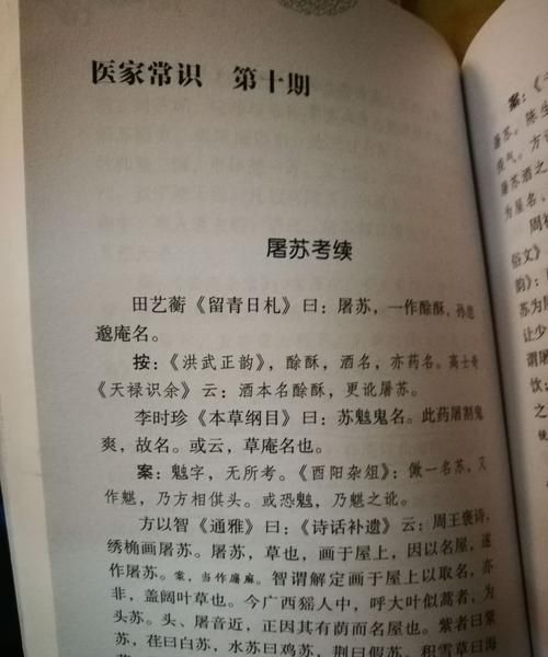 春风送暖入屠苏是什么意思