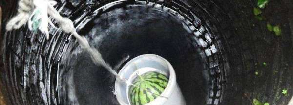 井里放什么可以净化水质,水井里放什么可以净化水质图3