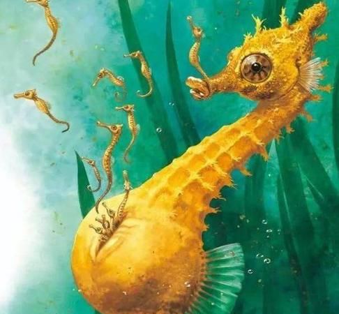 海马是爸爸生的还是妈妈生的