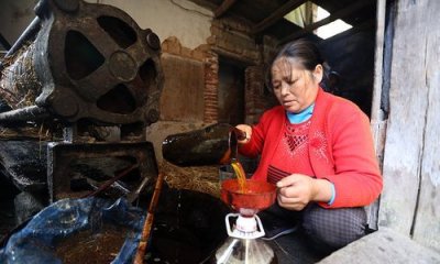 土榨油是什么意思,中性油是什么意思?