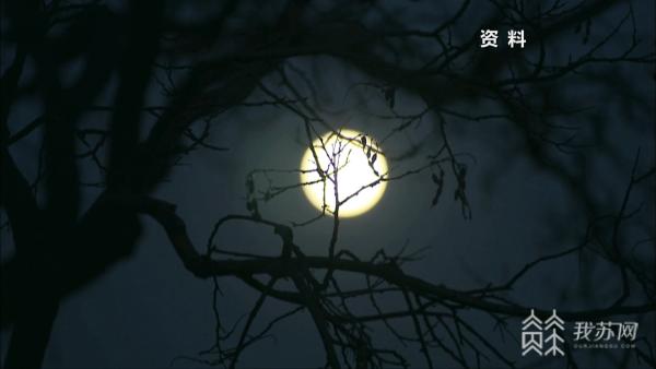 中秋最佳赏月时间点(十五的月亮十五圆)(6)