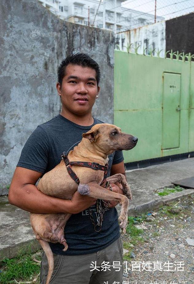一只猫咪的进化过程(坚强的动物猫坚强)(8)