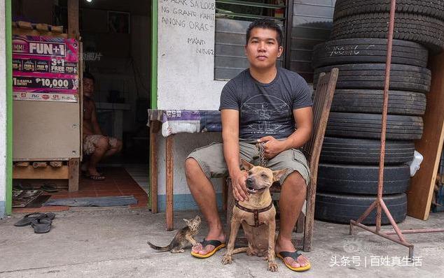 一只猫咪的进化过程(坚强的动物猫坚强)(10)