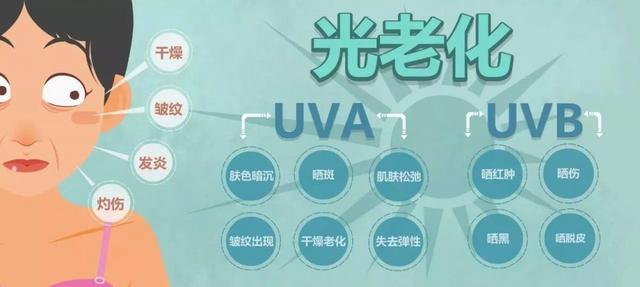 天然虾青素的营养品(每日分享营养功能成分)(3)