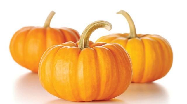 秋季成熟的有哪些蔬菜图片