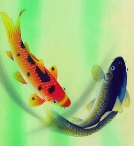 年年有余的鱼寓意是什么,年年有鱼是什么意思?