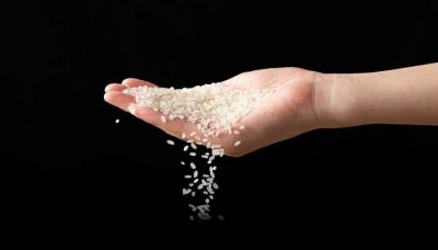 ​世界粮食日是几月几号(2022年世界粮食日和全国粮食安全宣传周主会场活动在安