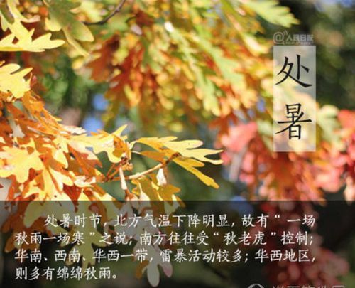 过午处暑是什么意思