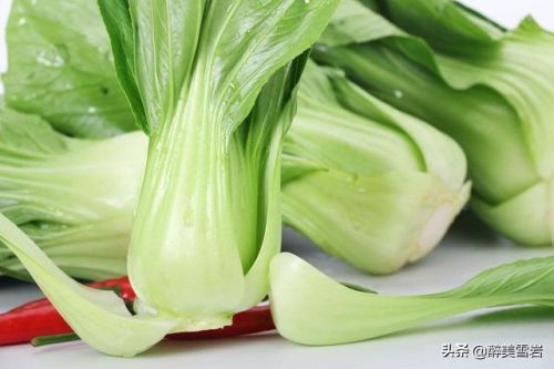 上海灭虫公司电话(灭虫公司资质)-第2张图片-