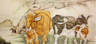 牛为什么在2生肖里排第2位,牛为什么排在十二生肖的第二位图6