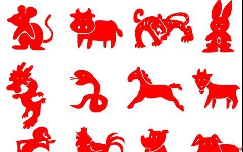 牛为什么在2生肖里排第2位,牛为什么排在十二生肖的第二位图8