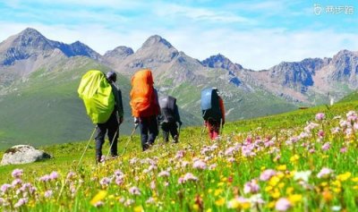 驴友什么意思,驴友圈是什么意思?