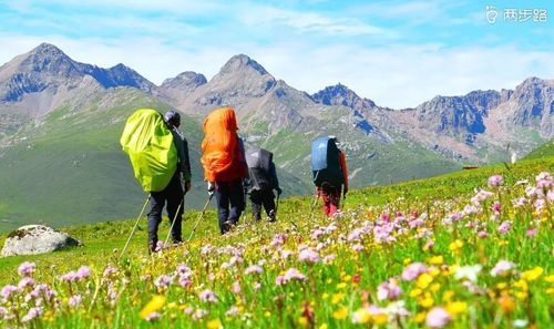 驴友圈是什么意思