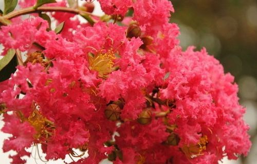 四月是你的谎言