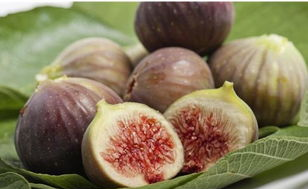 什么蔬菜被誉为天然黄体酮,天然黄体酮是什么意思图22