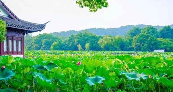 西湖区美食街银行聚合码多,杭州西湖附近的美食街在哪里?图1