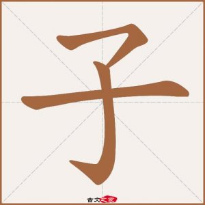 子的拼音(子的读音)