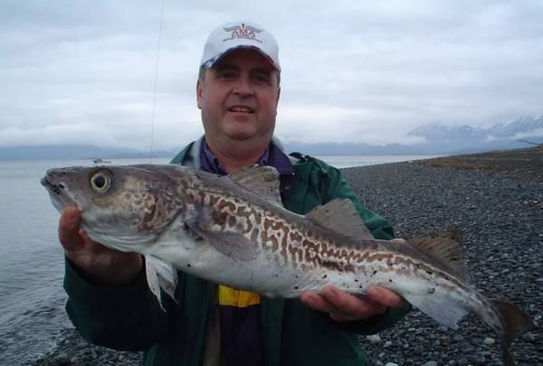 蟹棒是什么做成的,蟹棒的原料是什么?图5