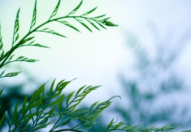 小暑是什么意思呢，“小暑怕刮风，入伏忌坐空”，什么意思？今年入伏坐不坐空呢？图3