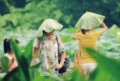 小暑是什么意思呢,“小暑怕刮风,入伏忌坐空”,什么意思?今年入伏坐不坐空