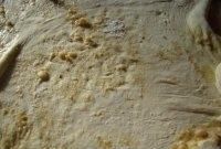 千层油饼怎么做,千层油饼的面怎么和,千层油饼的做法?图4