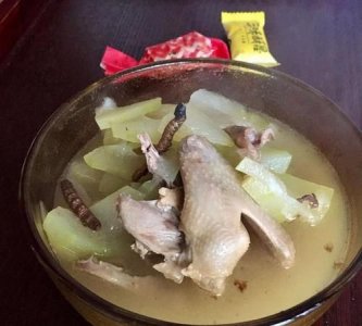 鸽子汤能放冬瓜吗,鸽子汤可以放白萝卜吗?