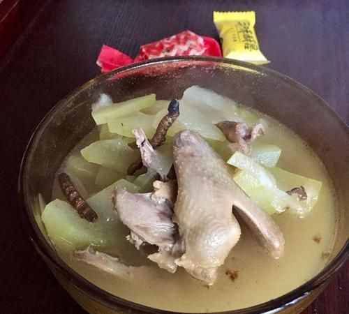 鸽子汤可以放白萝卜吗