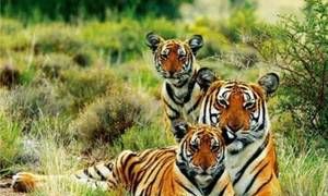 江苏立秋后怎么这么热