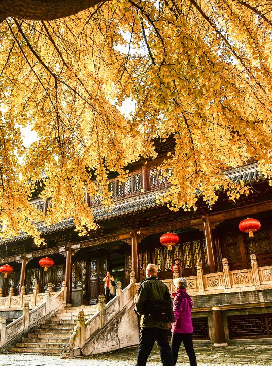 关于元宵节的习俗,关于元宵节的风俗有哪些?图6