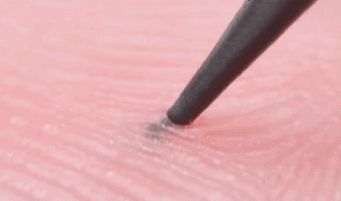 豪猪和老鼠是近亲 ,头像老鼠,尾巴像松鼠的是什么动物图6