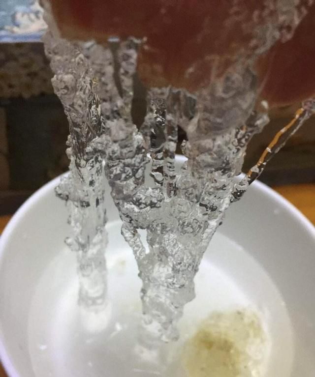 雪燕泡了两天还可以吃吗,雪燕泡在水里面为什么会变大?图5