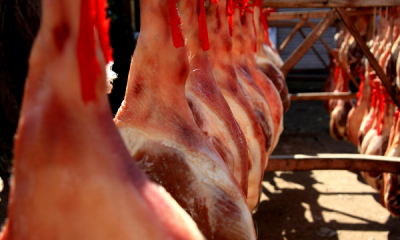 ​火腿肉怎么保存,火腿保存的妙招是什么?